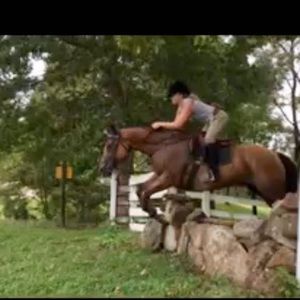 Meet your Posher, Lia